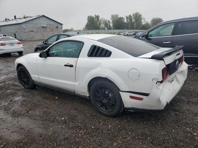 Photo 2 from auction – 2005 FORD MUSTANG with VIN 1ZVFT80N255171254