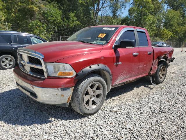 DODGE RAM 1500 2009 with VIN 1D3HV18P69S797438 - Photo from auction