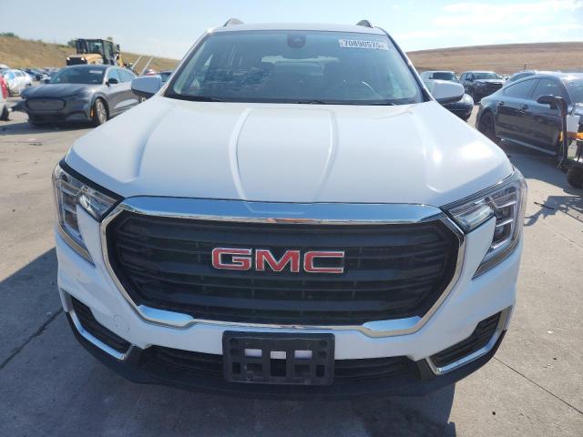 Photo 5 from auction – 2023 GMC TERRAIN SL with VIN 3GKALTEG8PL190134