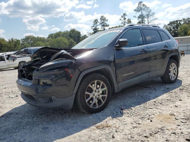 JEEP CHEROKEE 2016 with VIN 1C4PJLCS4GW171397 - Photo from auction
