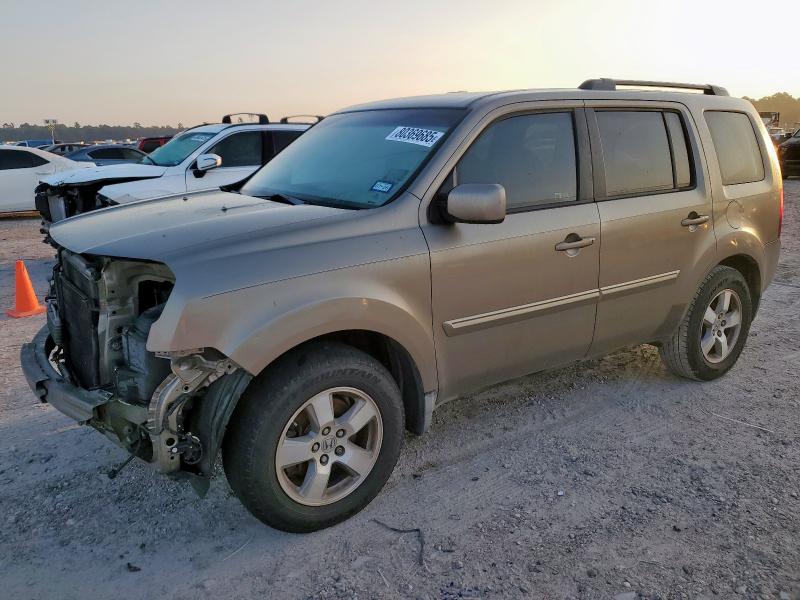 HONDA PILOT EX 2009 with VIN 5FNYF38449B000768 - Photo from auction