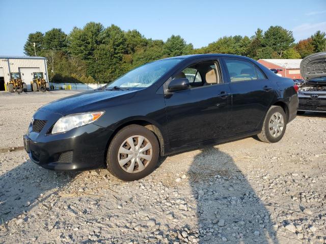 TOYOTA COROLLA BA 2009 with VIN JTDBL40E199038199 - Photo from auction