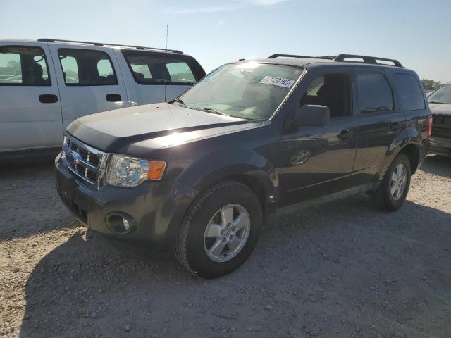 Photo 1 from auction – 2009 FORD ESCAPE XLT with VIN 1FMCU03G89KB13685