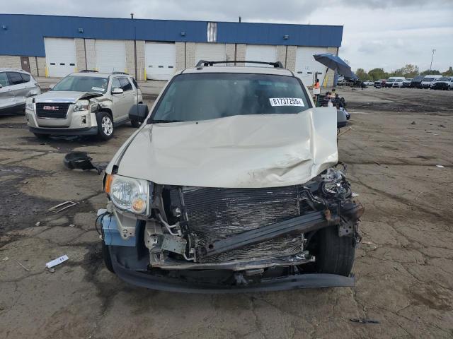 Photo 5 from auction – 2010 FORD ESCAPE XLT with VIN 1FMCU0DG0AKA70009