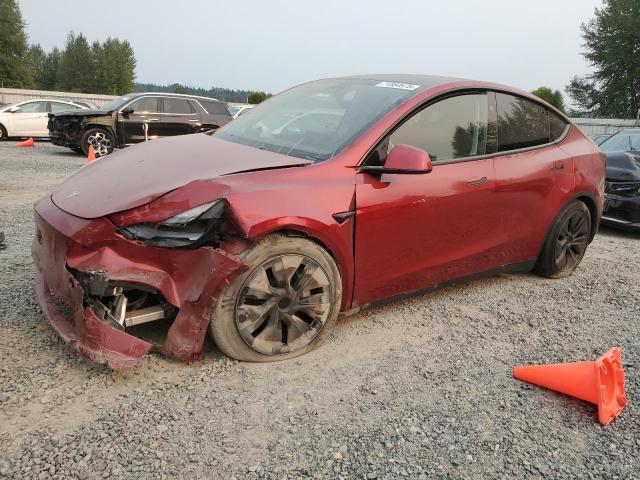 TESLA MODEL Y 2025 with VIN 7SAYGAEE7SF278264 - Photo from auction