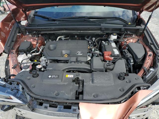 Zdjęcie 12 z aukcji – 2025 LEXUS NX 250 BAS z VIN 2T2ADCAZ8SC022548