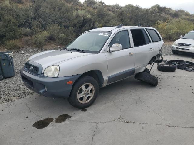 HYUNDAI SANTA FE G 2002 with VIN KM8SC73D02U243239 - Photo from auction