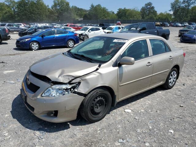 TOYOTA COROLLA BASE 2010 with VIN 2T1BU4EE6AC371552 - Photo from auction