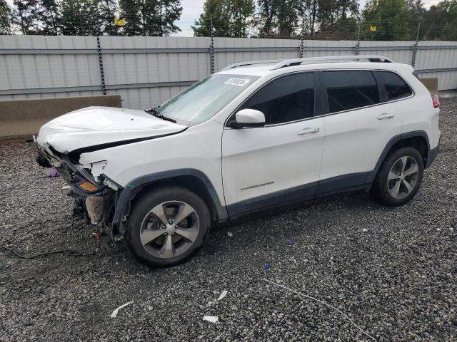 JEEP CHEROKEE L 2019 with VIN 1C4PJMDX5KD319223 - Photo from auction