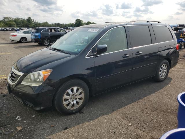 HONDA ODYSSEY EX 2009 with VIN 5FNRL38699B019945 - Photo from auction