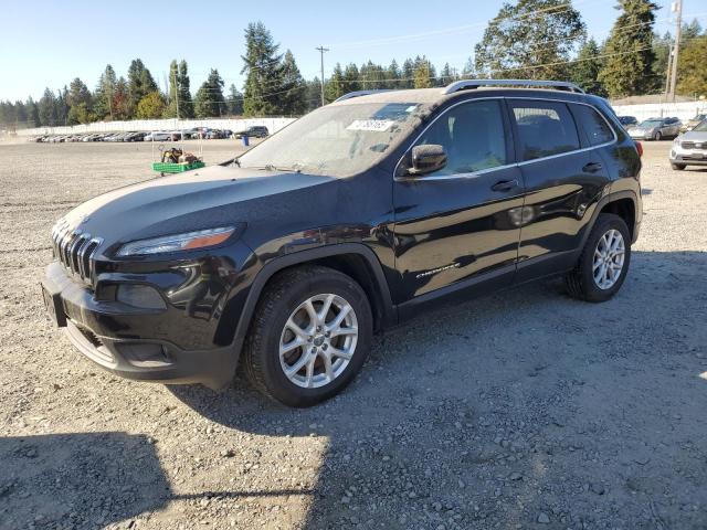 JEEP CHEROKEE L 2014 with VIN 1C4PJLCB4EW293240 - Photo from auction