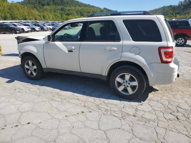 Photo 2 from auction – 2009 FORD ESCAPE LIM with VIN 1FMCU04G99KC30447