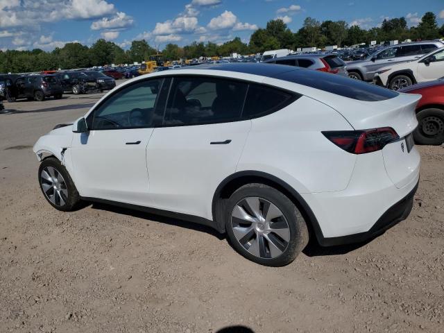 Photo 2 from auction – 2023 TESLA MODEL Y with VIN 7SAYGDEFXPA049446