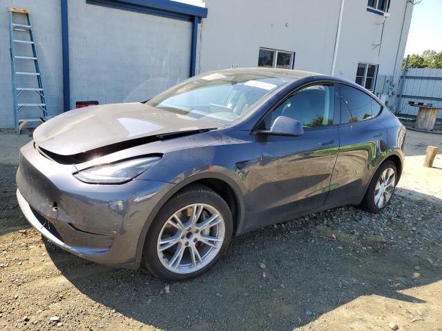 TESLA MODEL Y 2023 with VIN 7SAYGDED3PF933598 - Photo from auction