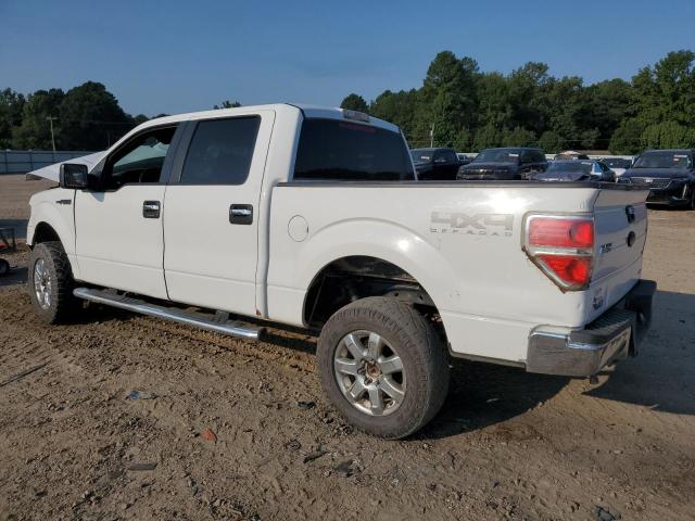 Zdjęcie 2 z aukcji – 2011 FORD F150 SUPERCREW z VIN 1FTFW1EF0BFA94098