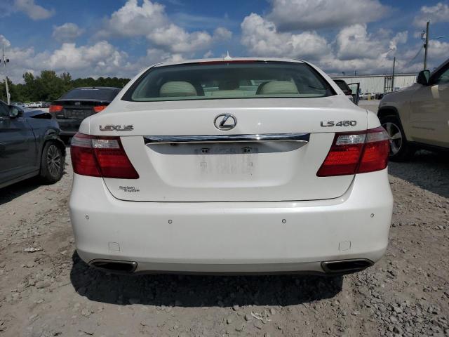 Photo 6 from auction – 2009 LEXUS LS 460 with VIN JTHBL46F895087681