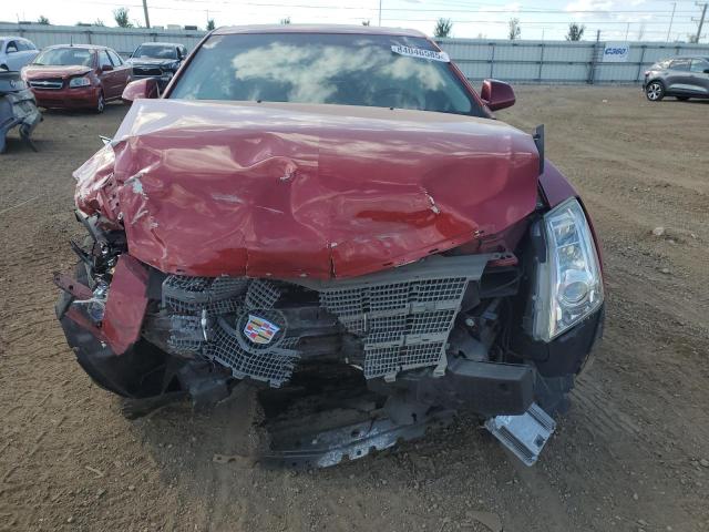 Photo 5 from auction – 2010 CADILLAC CTS PREMIU with VIN 1G6DP8EV4A0117519