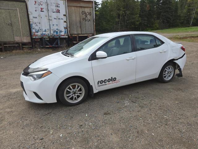 TOYOTA COROLLA L 2014 with VIN 2T1BURHE9EC081062 - Photo from auction
