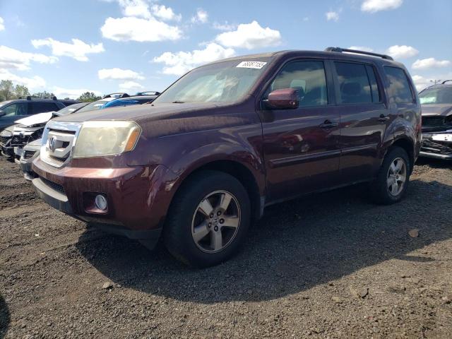 HONDA PILOT EX 2009 with VIN 5FNYF38469B002179 - Photo from auction