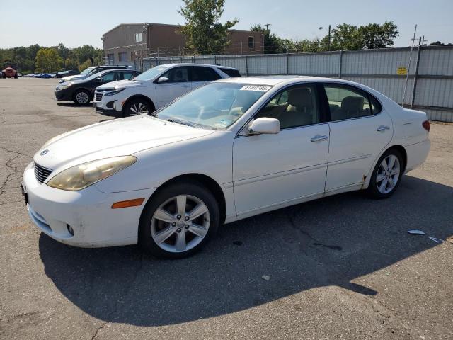 LEXUS ES 330 2005 with VIN JTHBA30G255076090 - Photo from auction