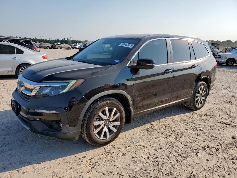 HONDA PILOT EXL 2019 with VIN 5FNYF6H56KB024702 - Photo from auction