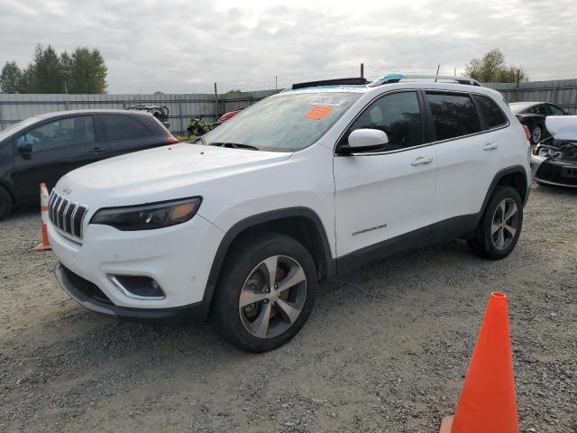 JEEP CHEROKEE L 2019 with VIN 1C4PJMDN5KD254047 - Photo from auction