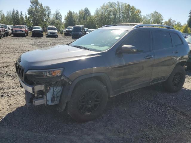 JEEP CHEROKEE L 2019 with VIN 1C4PJMDN2KD179873 - Photo from auction