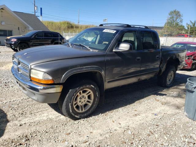 DODGE DAKOTA 2004 with VIN 1D7HG48NX4S627861 - Photo from auction