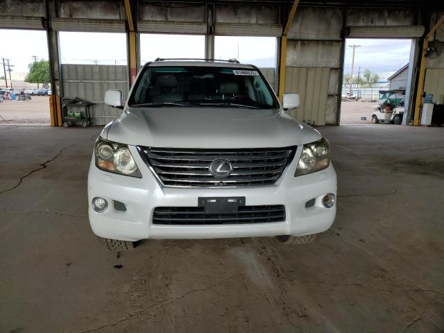 Photo 5 from auction – 2010 LEXUS LX 570 with VIN JTJHY7AX5A4053395