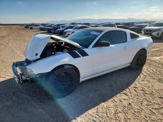 FORD MUSTANG 2014 with VIN 1ZVBP8AM4E5287970 - Photo from auction