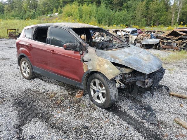 Photo 4 from auction – 2014 FORD ESCAPE SE with VIN 1FMCU0GX8EUD02572