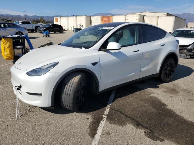 TESLA MODEL Y 2023 with VIN 7SAYGDEE7PA105009 - Photo from auction