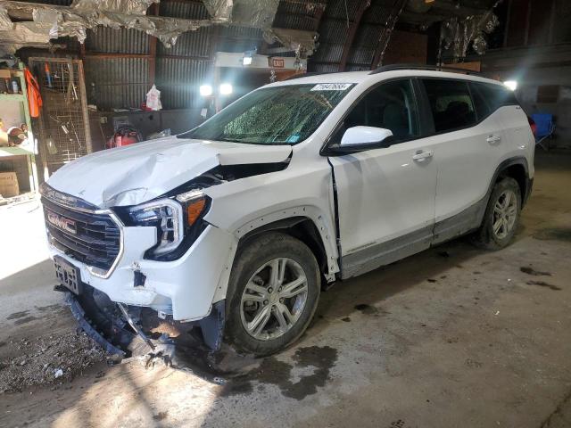 GMC TERRAIN SLE 2022 with VIN 3GKALTEV0NL105136 - Photo from auction