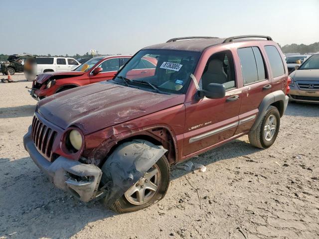 JEEP LIBERTY SP 2002 with VIN 1J4GK48K22W310747 - Photo from auction
