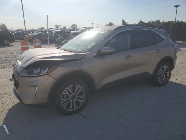 FORD ESCAPE SEL 2021 with VIN 1FMCU9H60MUB29333 - Photo from auction