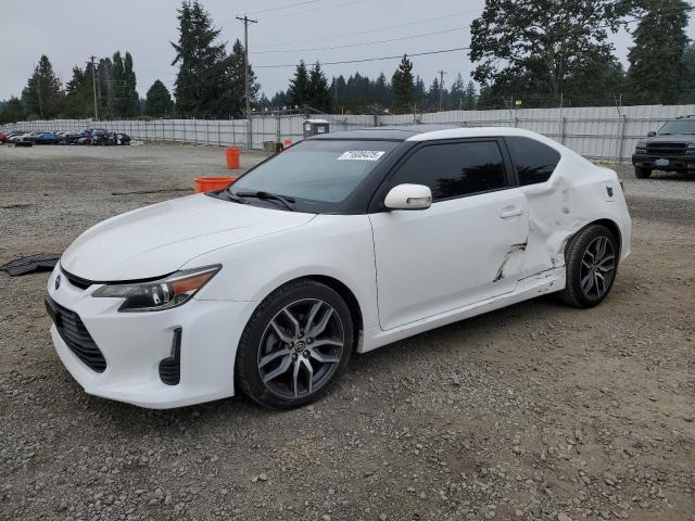 TOYOTA SCION TC 2014 with VIN JTKJF5C73E3080434 - Photo from auction
