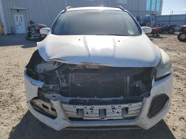 Photo 5 from auction – 2014 FORD ESCAPE SE with VIN 1FMCU9GX5EUE02827