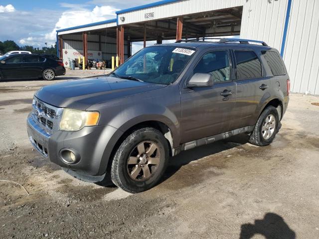 FORD ESCAPE LIM 2010 with VIN 1FMCU0E77AKD16827 - Photo from auction