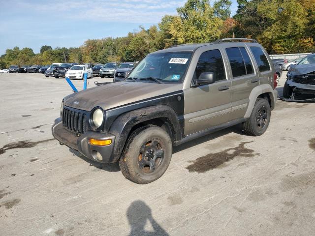 JEEP LIBERTY SP 2006 with VIN 1J4GL48K86W217296 - Photo from auction