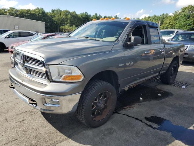 DODGE RAM 1500 2009 with VIN 1D3HV18T49S798133 - Photo from auction