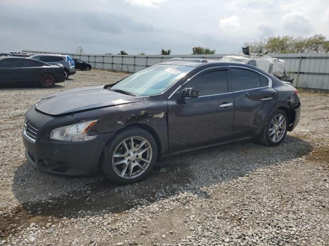 NISSAN MAXIMA S 2010 with VIN 1N4AA5AP1AC804307 - Photo from auction