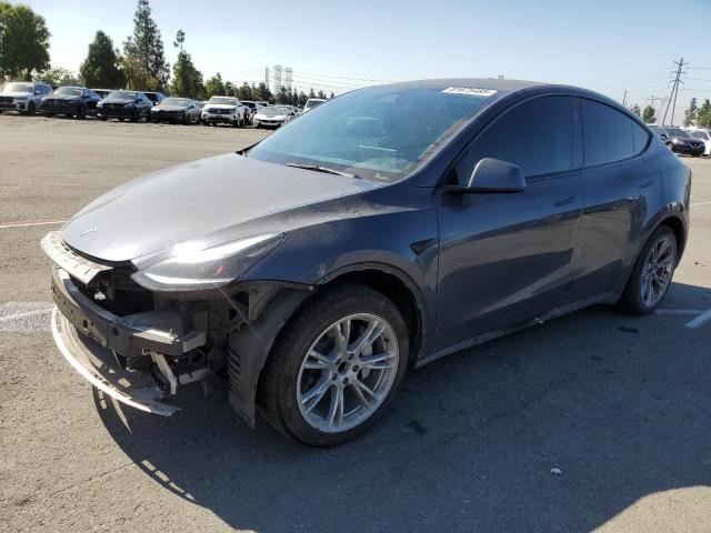 TESLA MODEL Y 2023 with VIN 7SAYGDED1PF963084 - Photo from auction