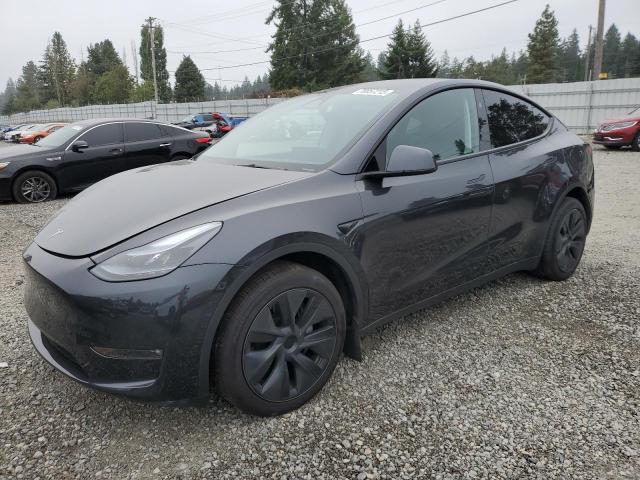 TESLA MODEL Y 2025 with VIN 7SAYGDEE4SF235566 - Photo from auction