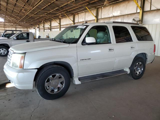 CADILLAC ESCALADE 2003 with VIN 1GYEK63N03R145754 - Photo from auction