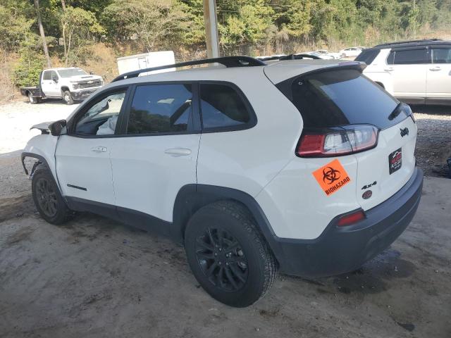 Photo 2 from auction – 2023 JEEP CHEROKEE A with VIN 1C4PJMMB0PD112234