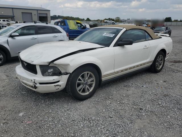 FORD MUSTANG 2005 with VIN 1ZVFT84N055233728 - Photo from auction