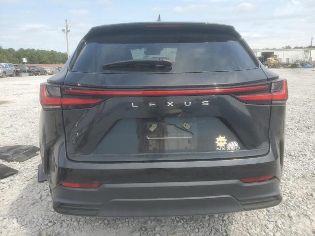 Photo 6 from auction – 2025 LEXUS NX 250 BASE with VIN 2T2ADCAZ1SC020205