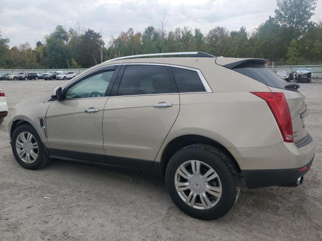Photo 2 from auction – 2010 CADILLAC SRX LUXURY with VIN 3GYFNDEY7AS652510