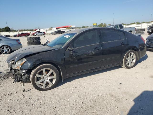 NISSAN MAXIMA SE 2008 with VIN 1N4BA41E28C825030 - Photo from auction