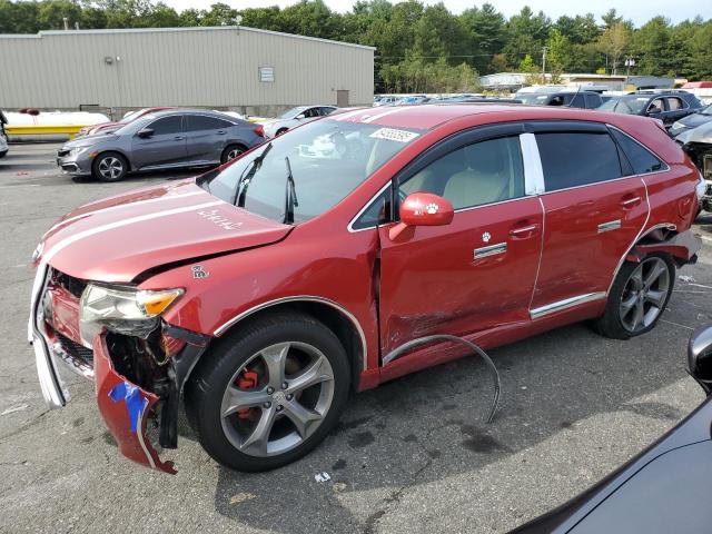 TOYOTA VENZA 2009 with VIN 4T3BE11AX9U001446 - Photo from auction